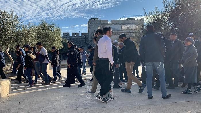 (150) مستوطناً يقتحمون ساحات "الأقصى" بحراسة مشددة