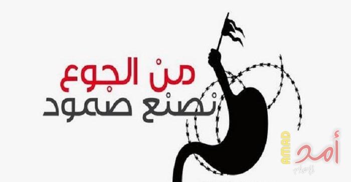 أسيران ينضمان لمعركة الأمعاء الخاوية في سجون الاحتلال