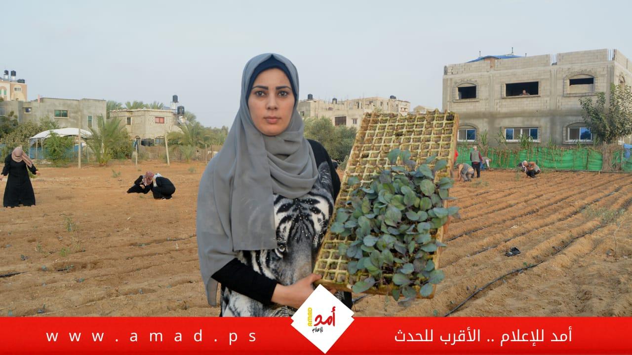 خريجات من غزة يعملن في مجال الزراعة وسط ظروف اقتصادية قاسية- فيديو وصور