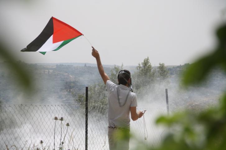 حافة الفوضى وبؤس الواقع الفلسطيني
