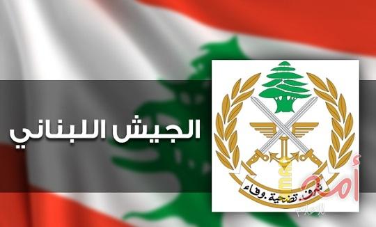 الجيش اللبنانى: إحالة فلسطينى للقضاء لانتمائه إلى "داعش"