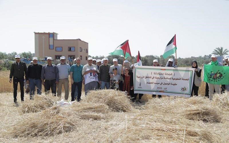 غزة: العمل الزراعي يواصل أنشطته التطوعية لمساندة مزارعي القمح في المناطق الشرقية