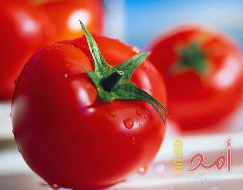 فوائد صحية مُذهلة لـصلصة البندورة