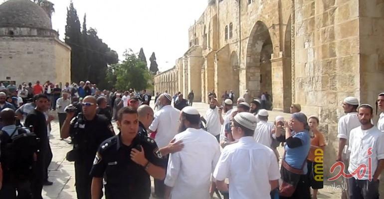 دعوات لاقتحامات واسعة للمسجد الأقصى الشهر المقبل