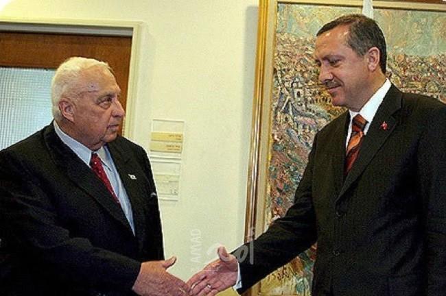 هجوم إعلامي سعودي على تصريحات أردوغان