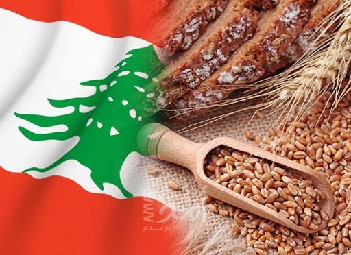 قلق أممي على إمدادات الطحين في لبنان بعد تضرر مخزون القمح إثر الإنفجار