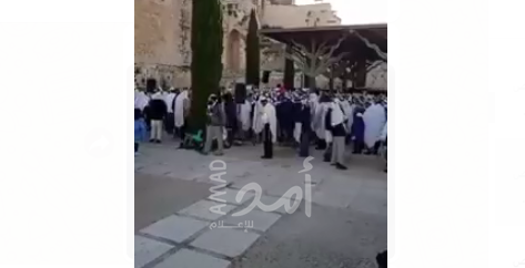 بالفيديو.. مستوطنون يقيمون "طقوس غنائية" خلف المسجد الأقصى