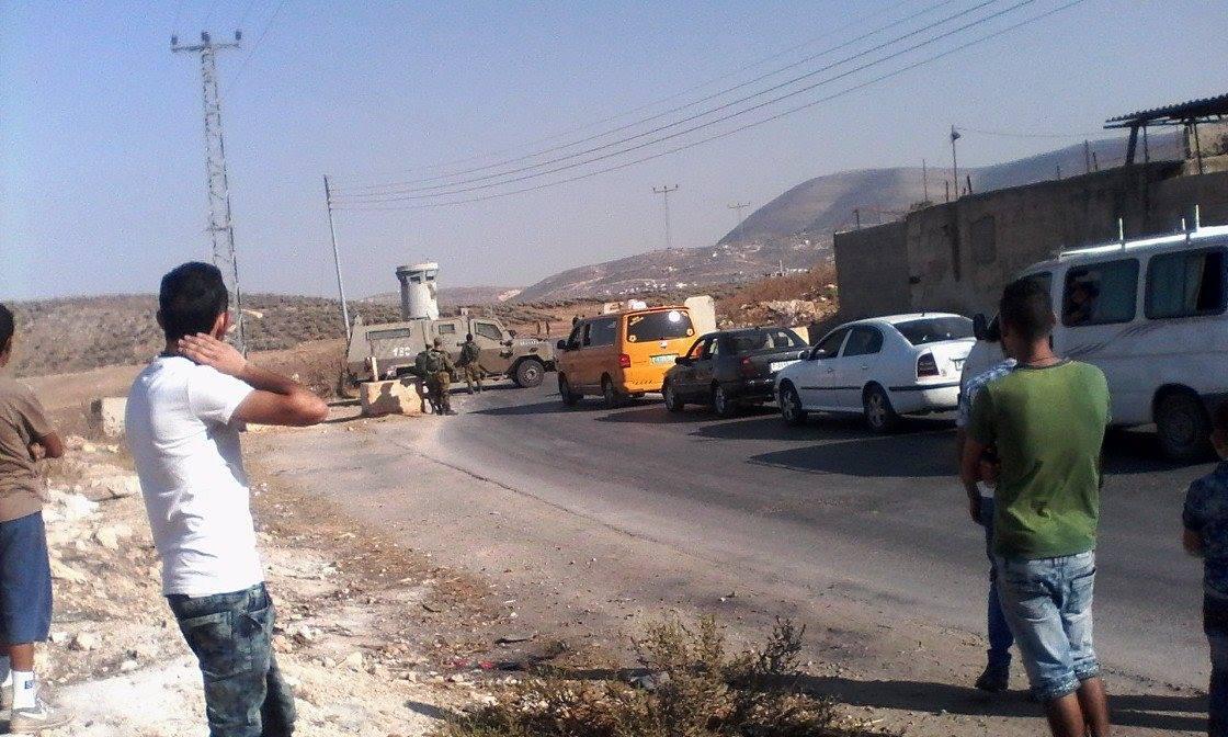 مستوطنون يقتحمون جبلا في قرية تعنك غرب جنين