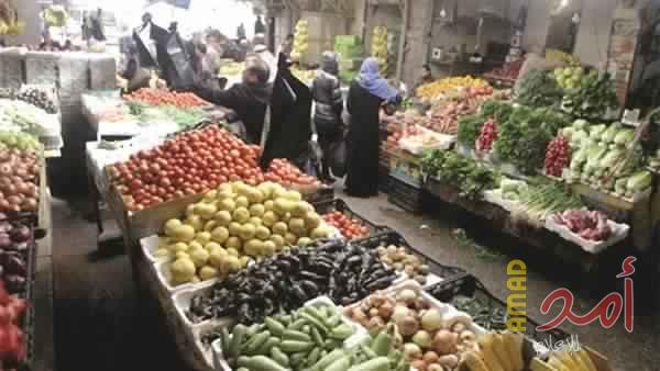 الزراعة تقرر وقف تصدير البندورة بعد ارتفاع سعرها في السوق
