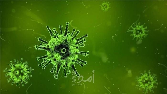 توقعات حدوث ذروة إصابات كوفيد-19 في الولايات المتحدة في أواخر أبريل