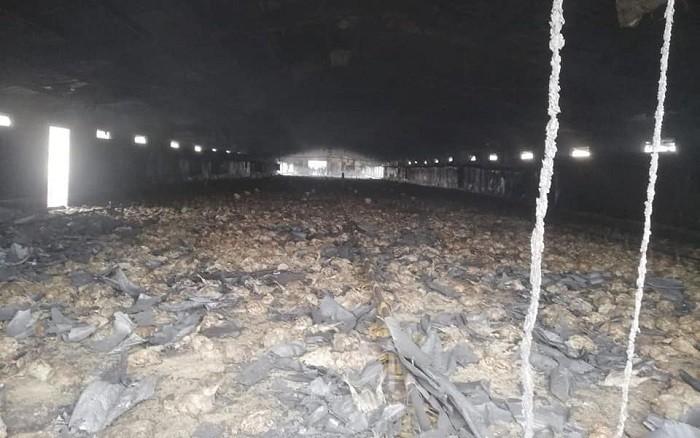 نفوق 6 آلاف صوص إثر حريق بركس جنوب جنين