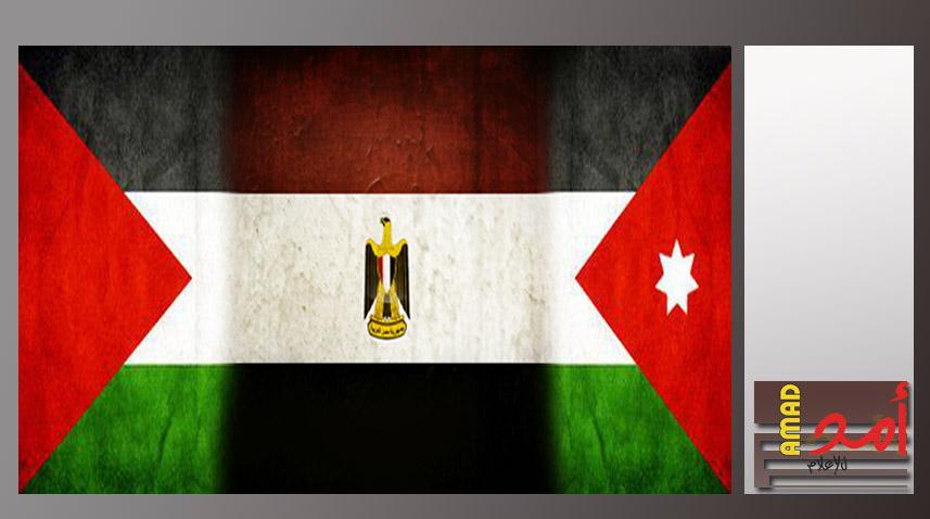 محدث.. وزيرا خارجية مصر والأردن يؤكدان على ضرورة وقف التصعيد الإسرائيلى بالأقصى