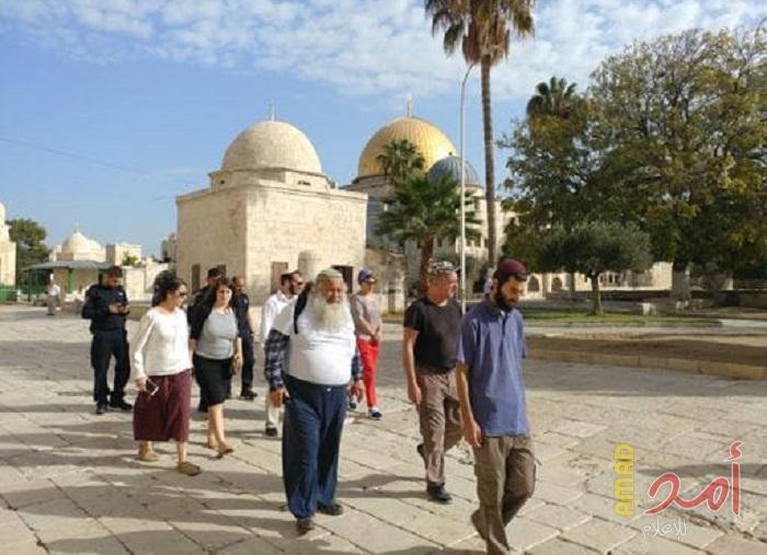 خلال أسبوع.. (291) مستوطناً اقتحموا الأقصى
