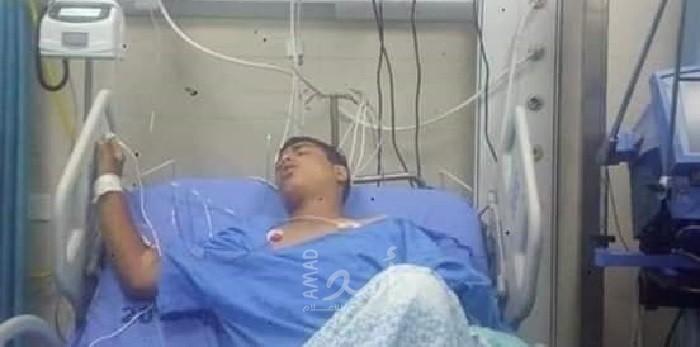 أفعى فلسطين السامة تلدغ شاب في الخليل وتدخله بالموت السريري