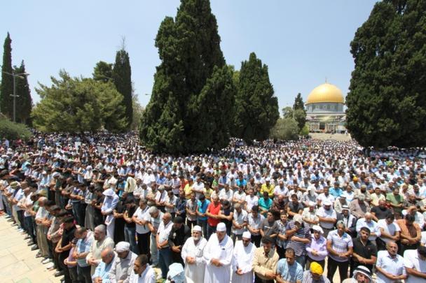250 مُسناً من غزة يؤدون صلاة الجمعة في الاقصى