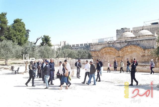 القدس: 44 مستوطنا يقتحمون المسجد الأقصى