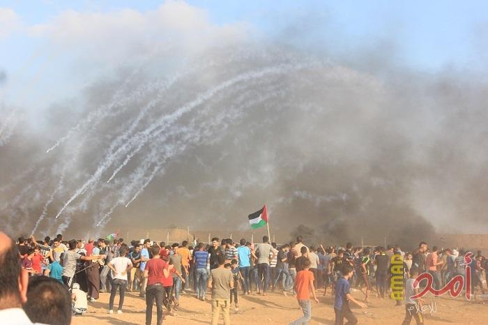 الألمانية: جيش الاحتلال الإسرائيلي يغلق تحقيقات "جمعة غزة السوداء"