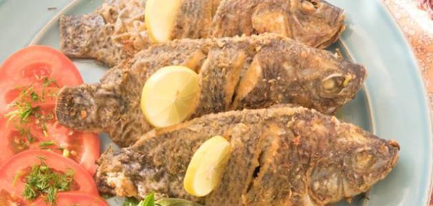5 فوائد صحية لسمك البلطى