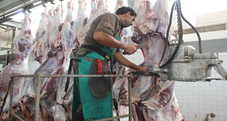 دائرة البيطرة في بلدية غزة تشرف على ذبح  (11) ألف رأس من الماشية خلال العام الماضي