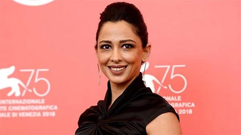 إصابة الفنانة الفلسطينية ميساء عبد الهادي برصاص قوات الاحتلال