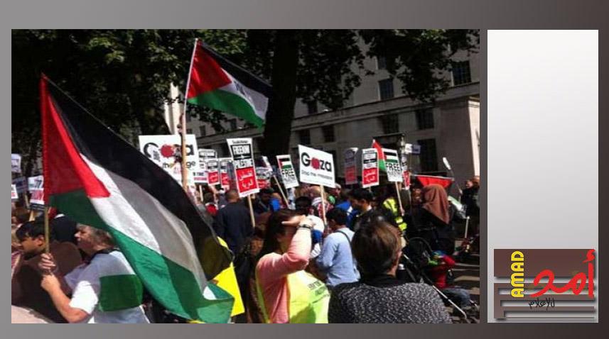 "الجالية الفلسطينية في السويد": منظمة التحرير الممثل الشرعي والوحيد لأبناء الشعب