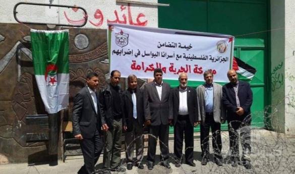 بالفيديو.. "خدمات رفح" يفتتح خيمة الاعتصام الجزائرية مع "أسرى الكرامة"