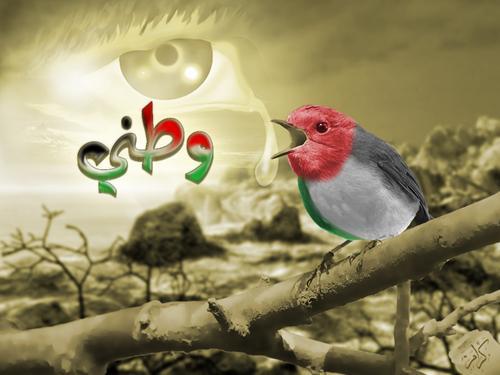 راح أقولها في البلدي