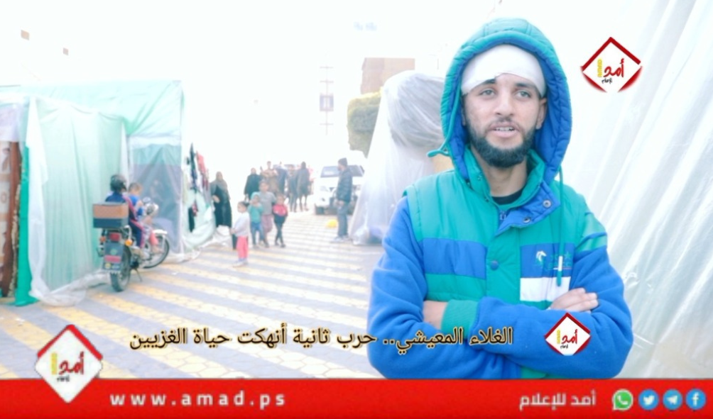 غلاء الأسعار.. سمكة القرش التي نهشت أجساد الغزيين- فيديو
