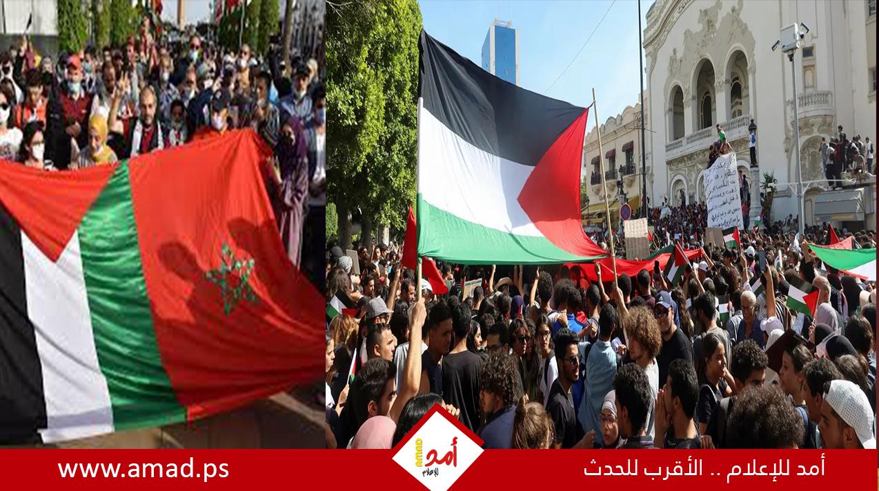 عشرات الآلاف يتظاهرون في المغرب تضامنا مع الشعب الفسطيني