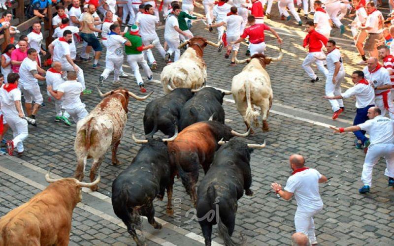 تعرض 5 أشخاص للنطح خلال احتفالات سان فيرمين الإسبانية