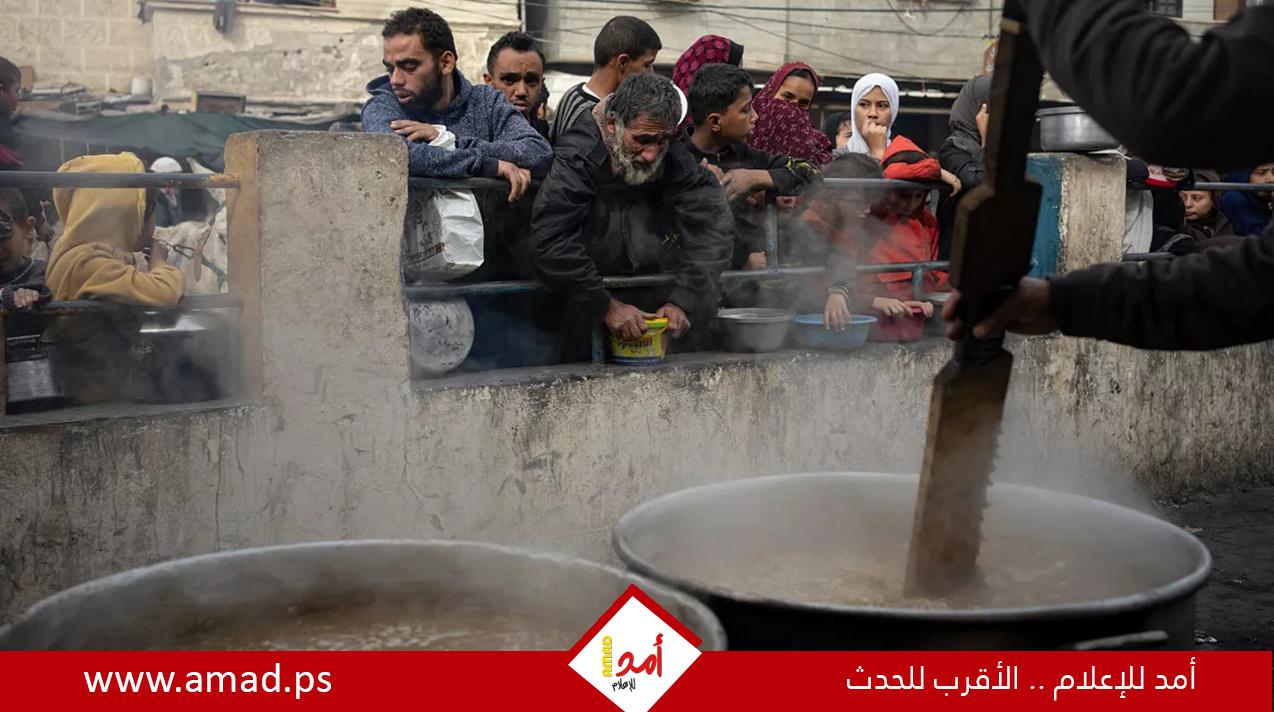 يورونيوز: طوابير الجوع في رفح.. شبح المجاعة يهدد حياة مئات آلاف النازحين - فيديو