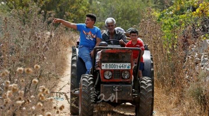 رويترز: مزارعو العنب الفلسطينيون يشهدون انهيار السوق بسبب أزمة كورونا