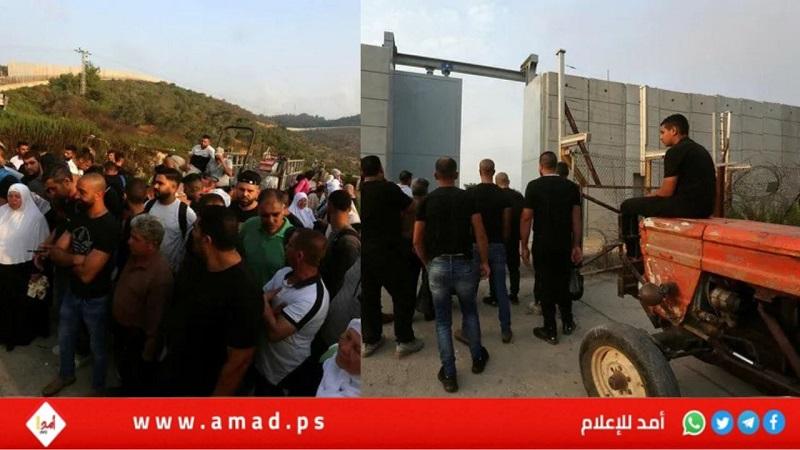 محكمة الاحتلال تقيّد وصول فلسطينيي "قرية عانين" إلى أراضيهم
