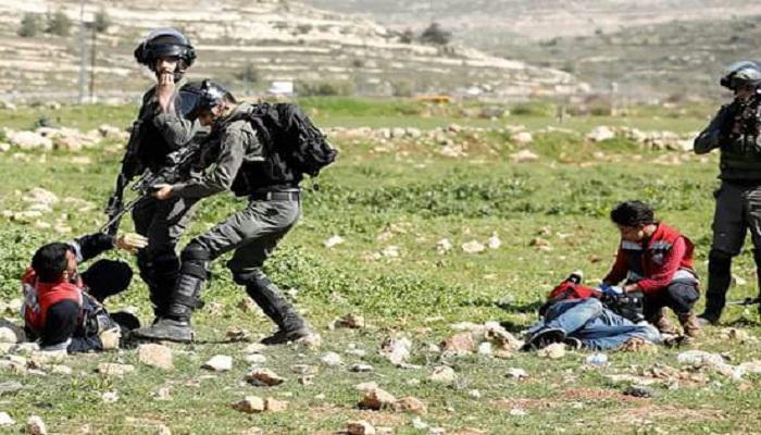 شرطة الاحتلال تعتقل موظفاً في "الأوقاف" بالقدس وتصيب شاباً بالرصاص في بيت لحم