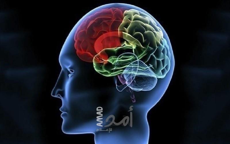 7 عادات بسيطة لتعزيز صحة دماغك -تفاصيل
