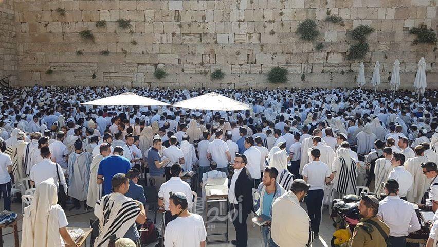 بدعوة من جماعات "الهيكل".. آلاف المستوطنين يقتحمون "حائط البراق" بمدينة القدس