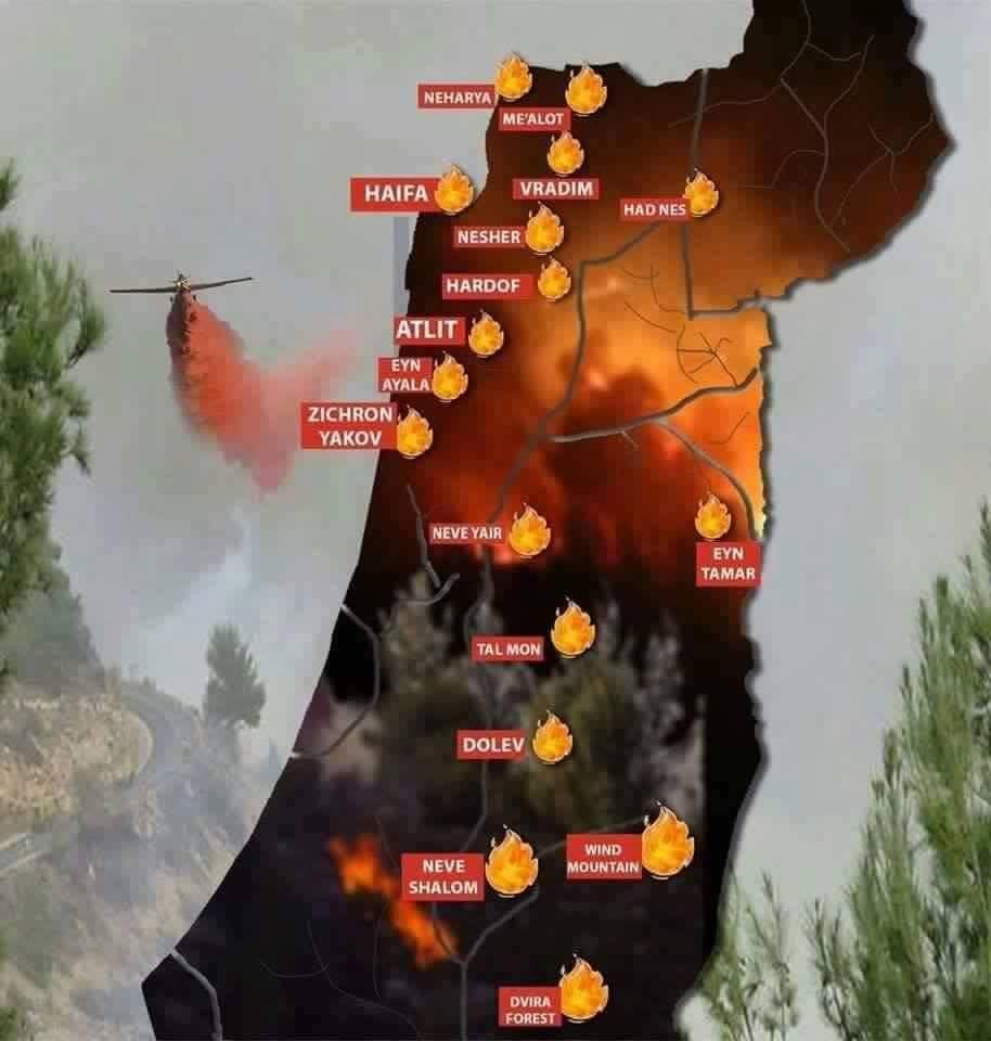 حاخام يصدر فتوى بقتل العرب على خلفية الحرائق