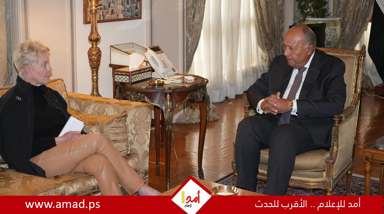 شكرى: الجانب الإسرائيلى يعيق نفاذ المساعدات الإنسانية إلى قطاع غزة