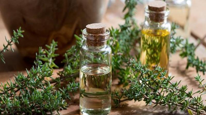 استخدام الزعتر لــ خفض ضغط الدم وعلاج السعال .. تفاصيل