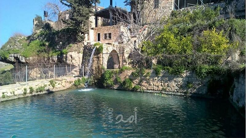 محميات فلسطين: التوعية المجتمعية هي المبدأ الرئيسي لحماية واستدامة التراث الطبيعي