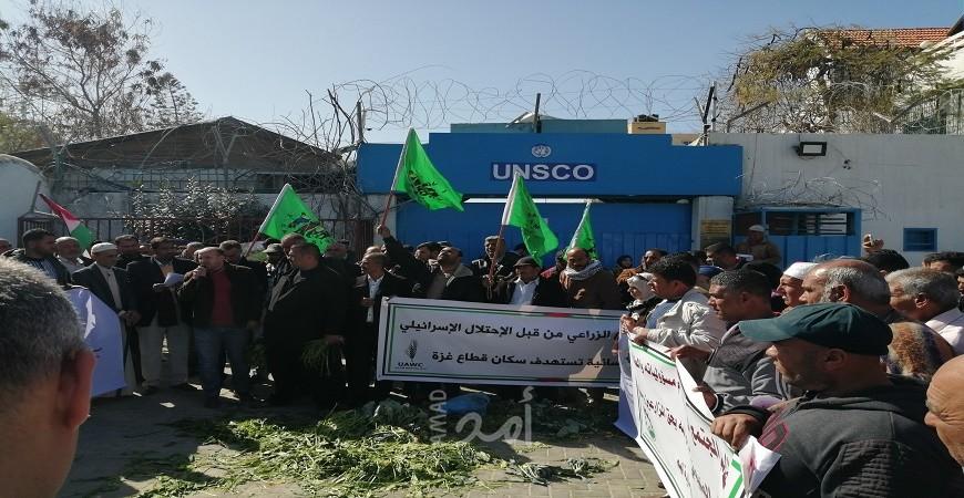غزة: القطاع الزراعي ينظم وقفة لإدانة قيام سلطات الاحتلال برش الاراضي الزراعية بالمواد السامة