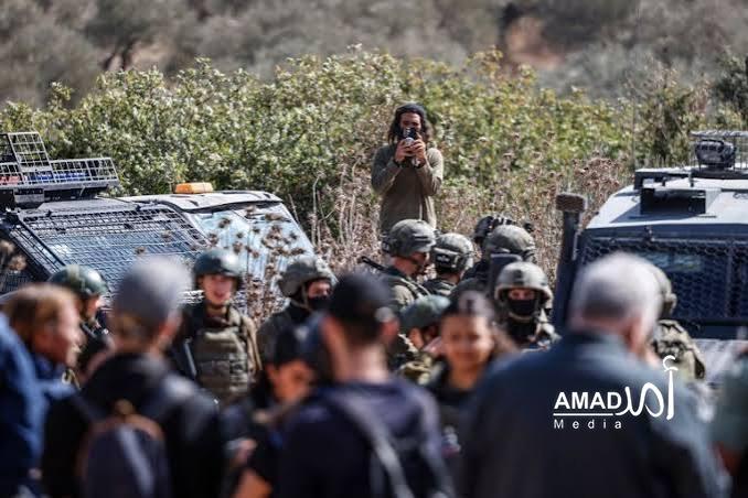 جيش الاحتلال يعتقل مرشح للكونغرس و80 متطوعاً دولياً خلال مشاركتهم في قطف الزيتون بالضفة الغربية