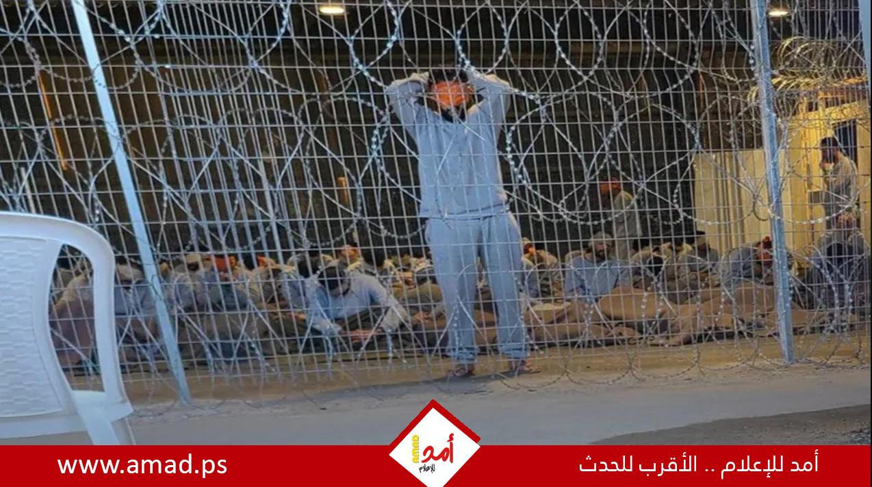 "هآرتس" العبرية تؤكد استشهاد أسيرين من غزة جراء اعتداء جنود الاحتلال عليهما بالضرب