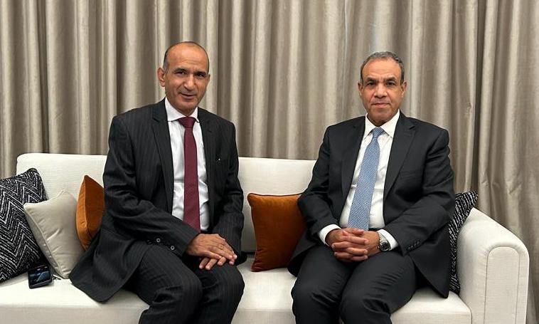 عبد العاطي: السيسي يقود التحرك الدبلوماسي المصري لوقف العدوان على غزة