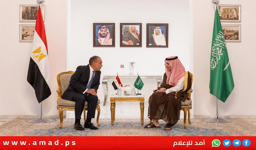 مصر والسعودية تؤكدان رفضهما التهجير ودعم إعمار غزة و حل الدولتين