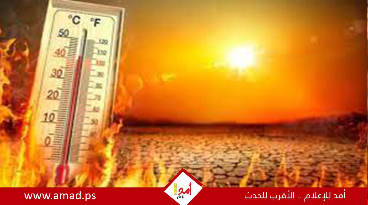 الشعور بالهبوط في الطقس الحار.. متى يكون مؤشر خطر؟