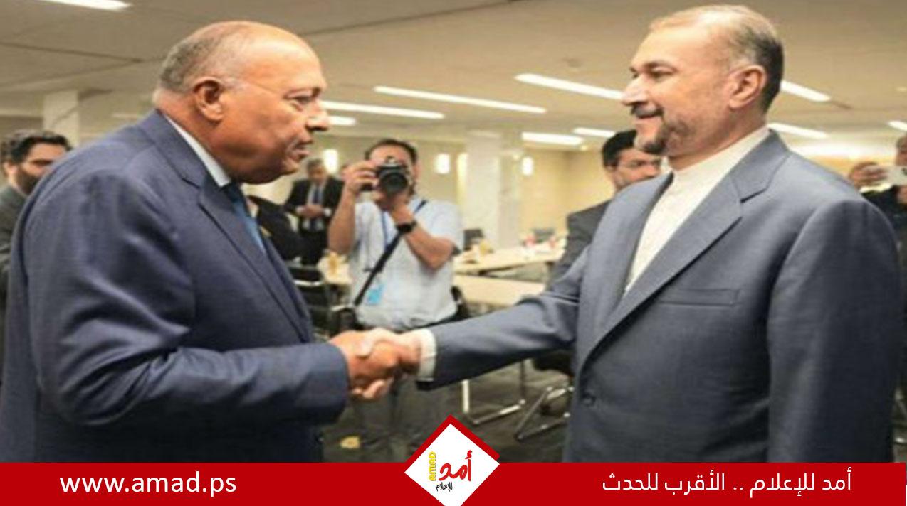 شكري يبحث مع عبد اللهيان جهود مصر للتوصل لوقف إطلاق نار فى غزة - تفاصيل