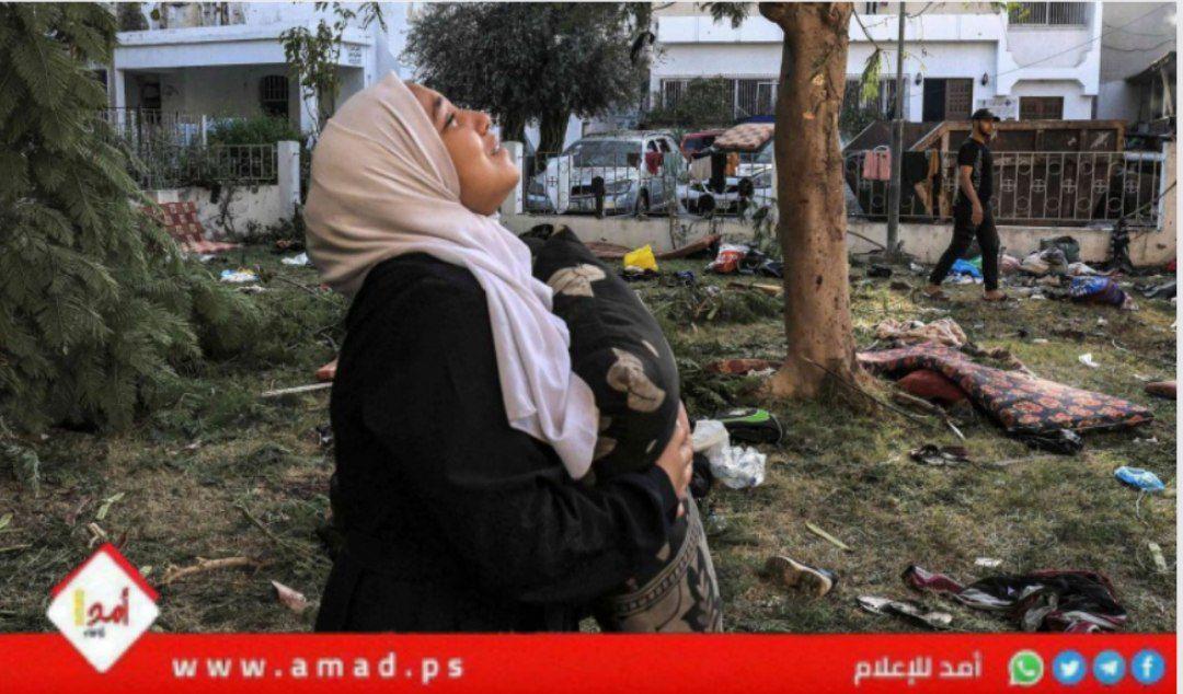 الأمم المتحدة: نساء غزة يتحملن العبء الأكبر لحرب الإبادة