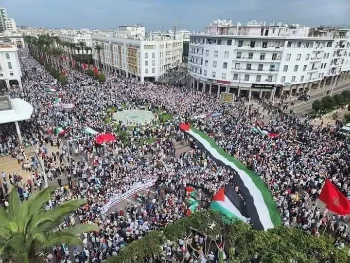 تقدير فلسطيني للتضامن الرسمي والشعبي المغربي مع الضفة وغزة
