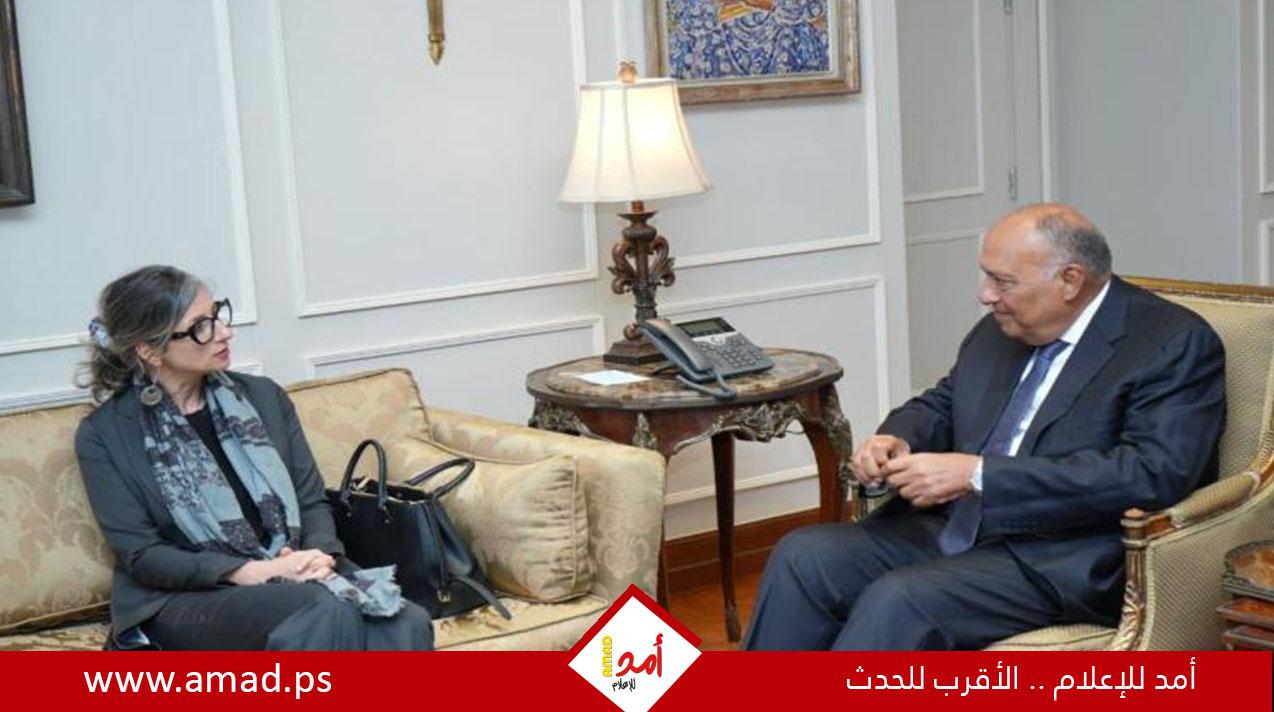 شكري والمقررة الأممية ألبانيز يؤكدان حتمية وقف الحرب الإسرائيلية ضد غزة
